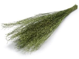 Groene Sarash sjaal. Stijlvolle, zachte stof in close-up.
