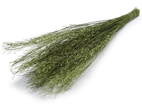 Groene Sarash sjaal. Stijlvolle, zachte stof in close-up.
