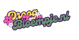 Droogbloempje.nl logo: Droogbloemen boeketten en decoratie online bestellen.