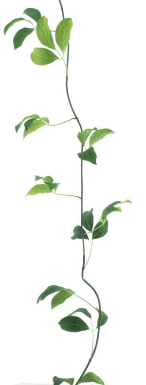 Groene bladslinger van kunststof, 280 cm lang - decoratie voor sfeer.