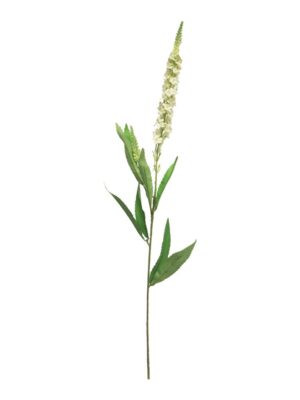 Witte Veronica kunstbloem tak, 76cm. Realistische bloem voor decoratie.